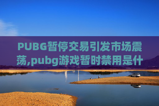PUBG暂停交易引发市场震荡,pubg游戏暂时禁用是什么意思