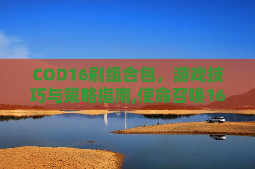 COD16刷组合包，游戏技巧与策略指南,使命召唤16组合包