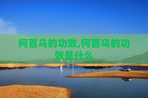 何首乌的功效,何首乌的功效是什么