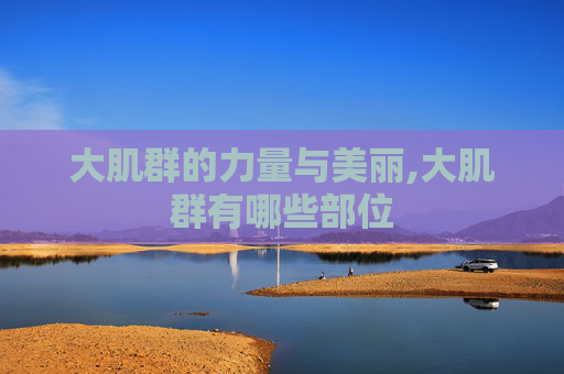 大肌群的力量与美丽,大肌群有哪些部位