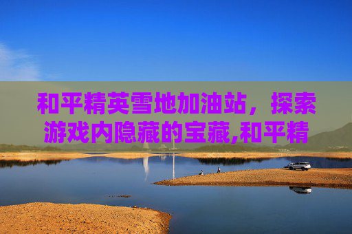 和平精英雪地加油站，探索游戏内隐藏的宝藏,和平精英 雪地