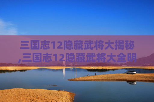 三国志12隐藏武将大揭秘,三国志12隐藏武将大全明细表