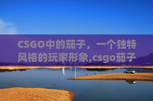 CSGO中的茄子，一个独特风格的玩家形象,csgo茄子颜值变化图