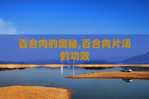 百合肉的奥秘,百合肉片汤的功效