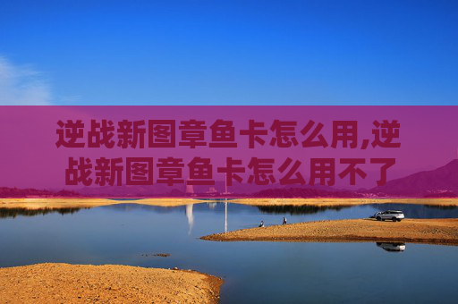 逆战新图章鱼卡怎么用,逆战新图章鱼卡怎么用不了