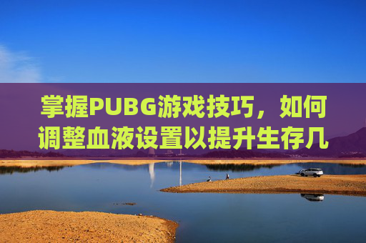 掌握PUBG游戏技巧，如何调整血液设置以提升生存几率,pubg血液颜色在哪调