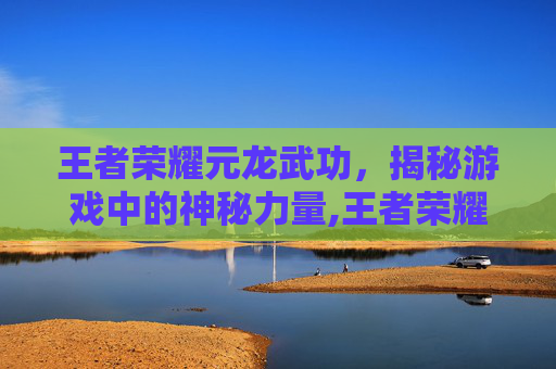 王者荣耀元龙武功，揭秘游戏中的神秘力量,王者荣耀元龙武功值得练吗