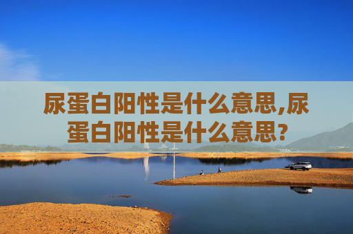 尿蛋白阳性是什么意思,尿蛋白阳性是什么意思?
