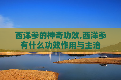 西洋参的神奇功效,西洋参有什么功效作用与主治