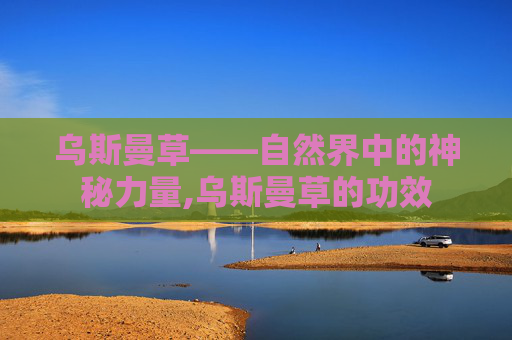 乌斯曼草——自然界中的神秘力量,乌斯曼草的功效