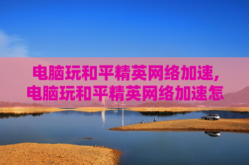 电脑玩和平精英网络加速,电脑玩和平精英网络加速怎么设置