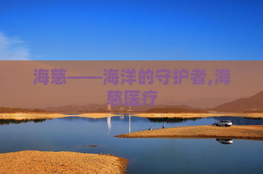 海慈——海洋的守护者,海慈医疗