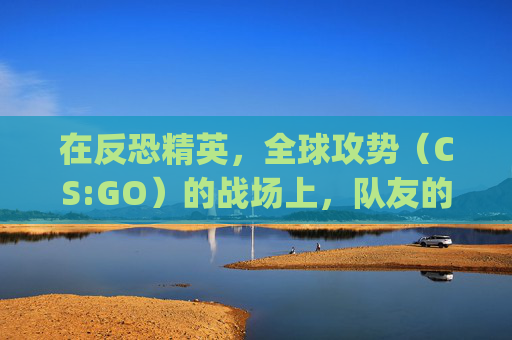 在反恐精英，全球攻势（CS:GO）的战场上，队友的脚步是胜利的关键,csgo队友和敌人的脚步声区别