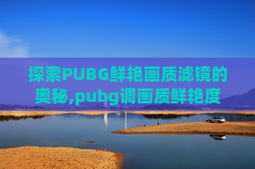 探索PUBG鲜艳画质滤镜的奥秘,pubg调画质鲜艳度
