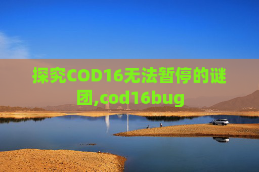 探究COD16无法暂停的谜团,cod16bug