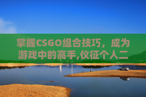 掌握CSGO组合技巧，成为游戏中的高手,仪征个人二手房网