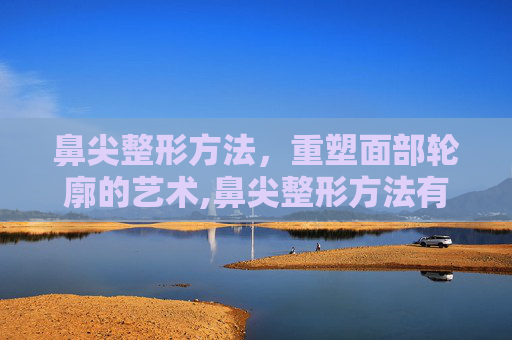 鼻尖整形方法，重塑面部轮廓的艺术,鼻尖整形方法有几种