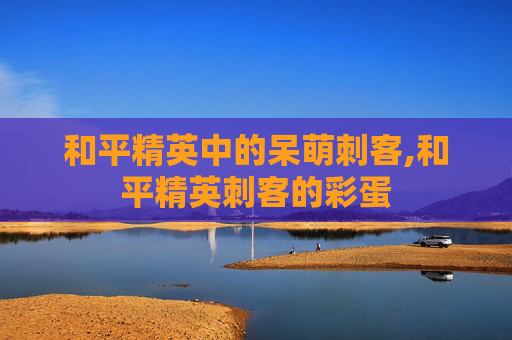 和平精英中的呆萌刺客,和平精英刺客的彩蛋