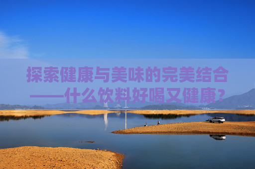 探索健康与美味的完美结合——什么饮料好喝又健康？,什么饮料健康可以放心喝