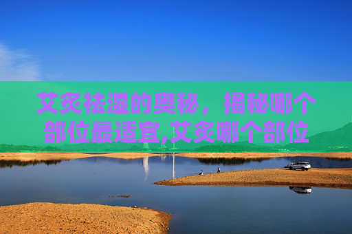 艾炙祛湿的奥秘，揭秘哪个部位最适宜,艾炙哪个部位最祛湿气