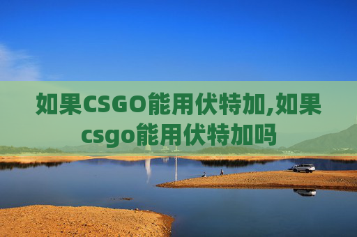 如果CSGO能用伏特加,如果csgo能用伏特加吗