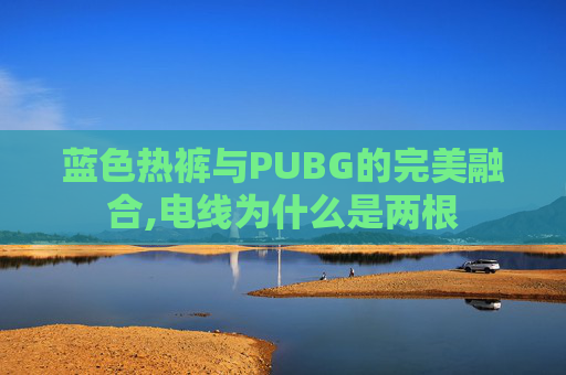蓝色热裤与PUBG的完美融合,电线为什么是两根