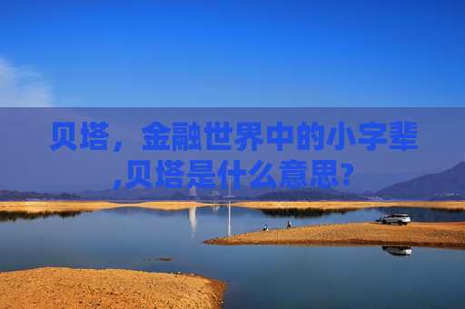 贝塔，金融世界中的小字辈,贝塔是什么意思?