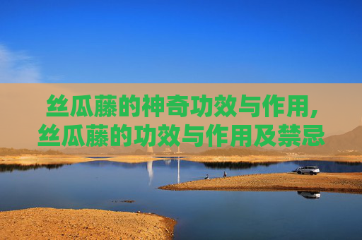 丝瓜藤的神奇功效与作用,丝瓜藤的功效与作用及禁忌
