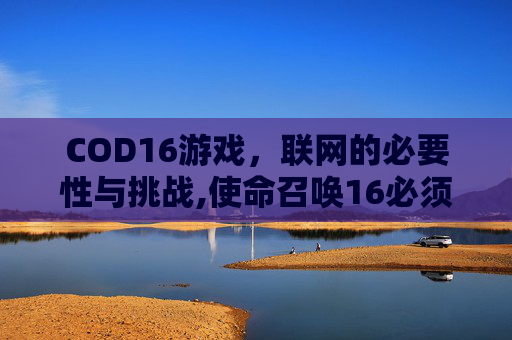 COD16游戏，联网的必要性与挑战,使命召唤16必须要战网吗