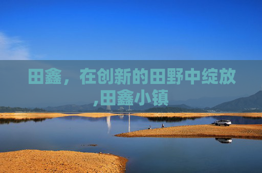 田鑫，在创新的田野中绽放,田鑫小镇