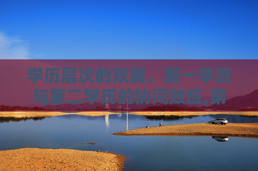 学历层次的双翼，第一学历与第二学历的协同效应,第一学历第二学历第三学历