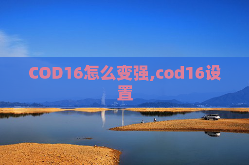 COD16怎么变强,cod16设置