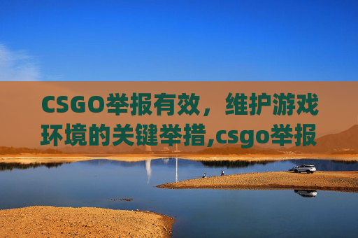 CSGO举报有效，维护游戏环境的关键举措,csgo举报人信息输入说明