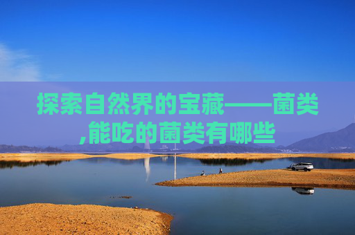 探索自然界的宝藏——菌类,能吃的菌类有哪些