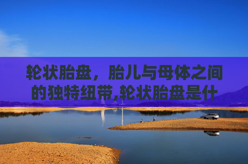 轮状胎盘，胎儿与母体之间的独特纽带,轮状胎盘是什么意思?