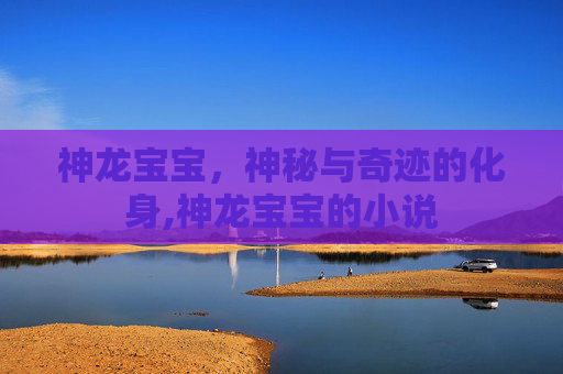 神龙宝宝，神秘与奇迹的化身,神龙宝宝的小说