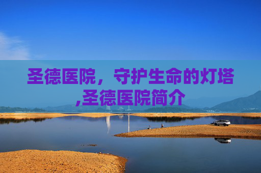 圣德医院，守护生命的灯塔,圣德医院简介