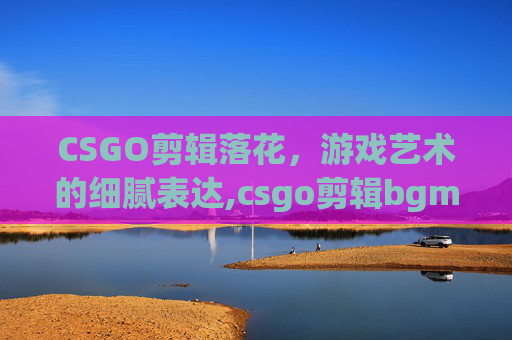 CSGO剪辑落花，游戏艺术的细腻表达,csgo剪辑bgm