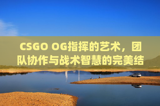 CSGO OG指挥的艺术，团队协作与战术智慧的完美结合,jt csgo转指挥