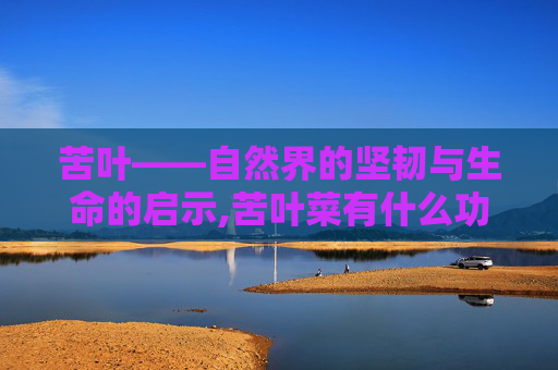 苦叶——自然界的坚韧与生命的启示,苦叶菜有什么功效和作用