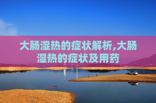 大肠湿热的症状解析,大肠湿热的症状及用药
