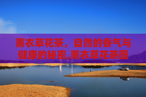 薰衣草花茶，自然的香气与健康的秘密,薰衣草花茶图片