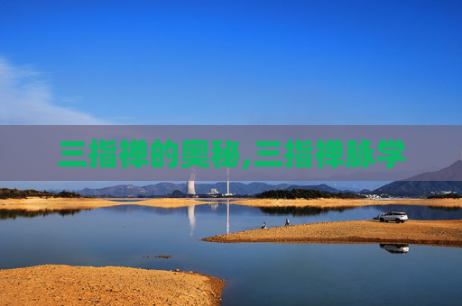 三指禅的奥秘,三指禅脉学
