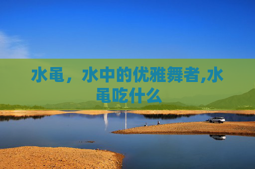 水黾，水中的优雅舞者,水黾吃什么