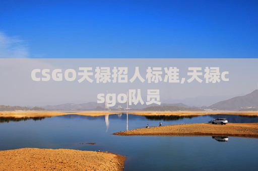 CSGO天禄招人标准,天禄csgo队员