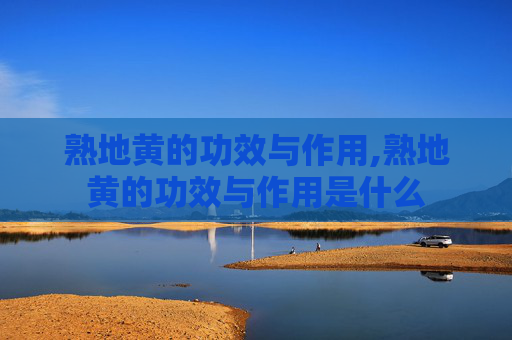 熟地黄的功效与作用,熟地黄的功效与作用是什么