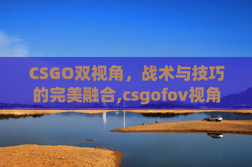 CSGO双视角，战术与技巧的完美融合,csgofov视角