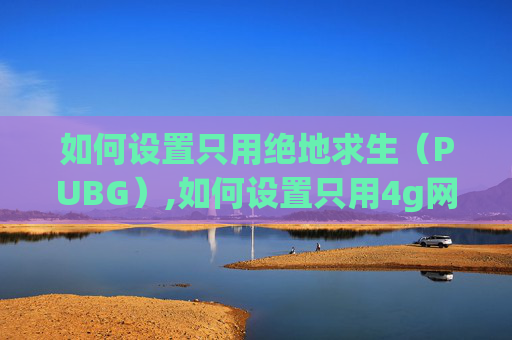 如何设置只用绝地求生（PUBG）,如何设置只用4g网络