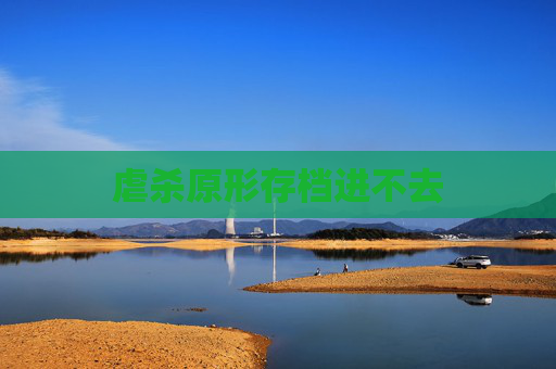 虐杀原形存档进不去