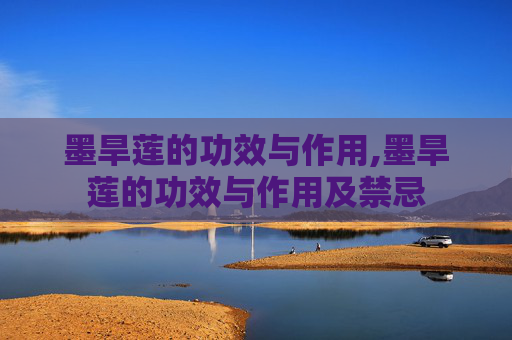 墨旱莲的功效与作用,墨旱莲的功效与作用及禁忌
